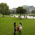 武汉大学随拍(二)图片 自然风光 风景图片