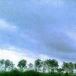 云和树图片 自然风光 风景图片