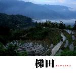 梯田   湖南郴州桂东县图片 自然风光 风景图片