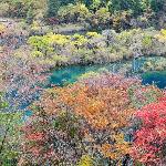 九寨沟---秋图片 自然风光 风景图片