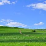 草原之路图片 自然风光 风景图片