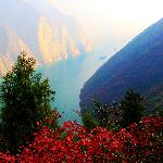 峡江红叶分外娇图片 自然风光 风景图片