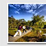 上海灵石公园新印象之二图片 自然风光 风景图片