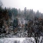 哈尔滨的雪图片 自然风光 风景图片