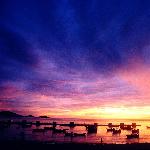 大树岛日落图片 自然风光 风景图片