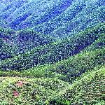 野居图片 自然风光 风景图片