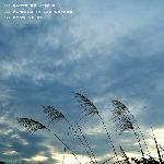 紫金港早晨图片 自然风光 风景图片