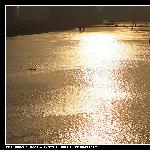 黄金江岸图片 自然风光 风景图片