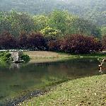 清晨的太子湾图片 自然风光 风景图片