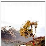 川北之旅-郎木寺图片 自然风光 风景图片