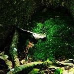 蒲圻乡野图片 自然风光 风景图片