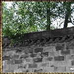 春光外斜图片 自然风光 风景图片