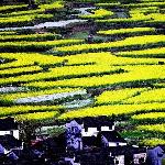 婺源·江岭图片 自然风光 风景图片