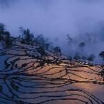 梦幻的元阳梯田图片 自然风光 风景图片