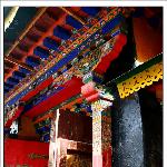 Tibet +图片 自然风光 风景图片