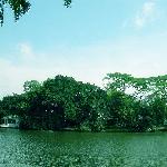 东湖夏午图片 自然风光 风景图片