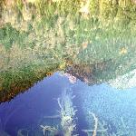 九寨之水里展影图片 自然风光 风景图片