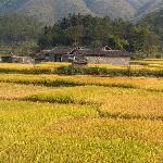 秋收季节图片 自然风光 风景图片