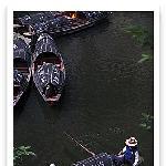 东湖春色图片 自然风光 风景图片