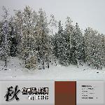 秋色画卷--新疆图片 自然风光 风景图片