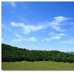 七月，美丽的塞罕坝大草原（一）图片 自然风光 风景图片
