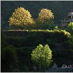 川西行之图片 自然风光 风景图片