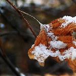 月日·雪图片 自然风光 风景图片