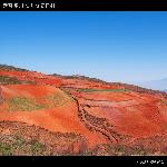 燃烧的东川红土地图片 自然风光 风景图片