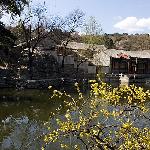 颐和园--春图片 自然风光 风景图片
