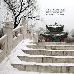 雪后家的附近图片 自然风光 风景图片