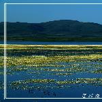 夏日尕海图片 自然风光 风景图片