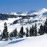 冬雪（二）图片 自然风光 风景图片