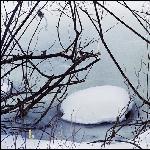 最后的冬雪~~图片 自然风光 风景图片