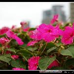 雨后情怀图片 自然风光 风景图片