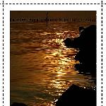 夕阳西下 - 红树林图片 自然风光 风景图片