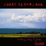美丽的青海湖.油菜花.碧水图片 自然风光 风景图片