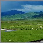 阿坝草原-图片 自然风光 风景图片