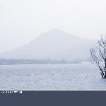 静静的八一湖图片 自然风光 风景图片