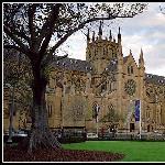 悉尼教堂图片 自然风光 风景图片