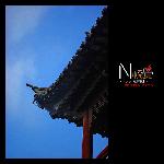 夏日迷情<>-下图片 自然风光 风景图片