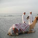 迪拜旅行日记之二图片 自然风光 风景图片
