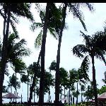 马尼拉湾图片 自然风光 风景图片