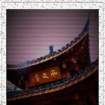 五一旅游随拍巡展--杭州西湖图片 自然风光 风景图片
