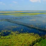 太湖南岸之二图片 自然风光 风景图片