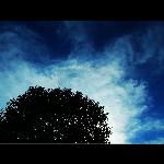 蓝蓝的天上白云飘（二）图片 自然风光 风景图片