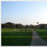 美国游记－斯坦福大学（STANFORD UNIVERSITY）图片 自然风光 风景图片