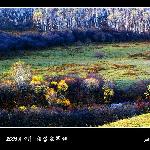 金秋塞罕坝——层林尽染五彩山图片 自然风光 风景图片