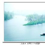 风雨催归图图片 自然风光 风景图片