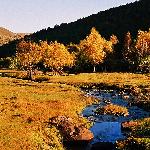 触摸天堂的色彩『胶片坝上之秋』图片 自然风光 风景图片