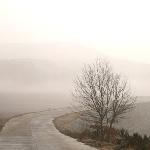武汉云雾山-雾图片 自然风光 风景图片